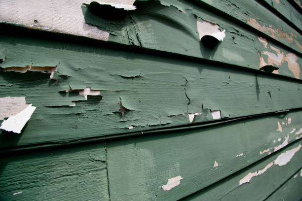 Best Siding Repair  in Barre, VT